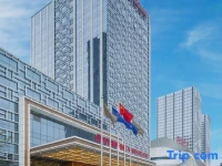 Wanda International Apartment 
