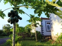 Hualizhijia Hostel 
