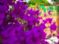Fullmoon Hostel 