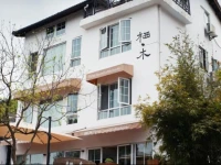 Timo Hostel 