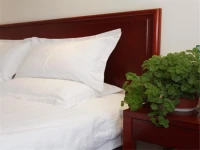 GreenTree Alliance Heilongjiang Province Haerbin Chengde Square Chengde Street Hotel 