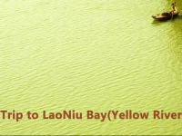 Bafu Book and Photo Boutique Hostel 