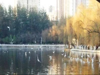 Motel Kunming South Huancheng Road Metro Station 