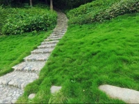 Qiandaolake garden resort hotel 