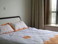 Hongqi Miaojia Inn 