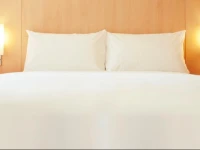 Ibis Leshan City Center 