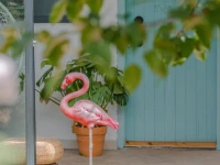Baisha Flamingo Hotel 