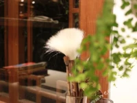 Lijiang Shuhe Huaxi Jinxiang Boutique Inn 