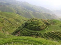 Longsheng Dazhai Jinkeng International Youth Hostel 