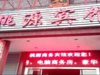 Taoyuan Business Inn 