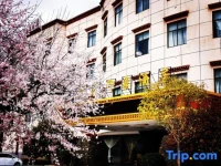 Linzhi Impression Hotel 