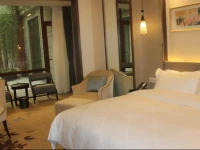 Nis Hotspring Hotel 