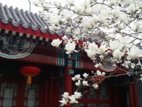 Scholar Tree Courtyard Hotel - Beijing Hebei Guest Hotel 