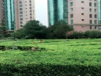 Beijing Koala City Hostel 