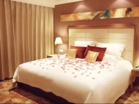 Home Inn Plus Beijing Nongzhan Chang Hongqiao 