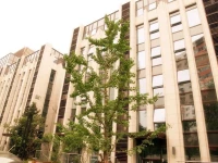 Jun Lai Yue Apartment - Wudaokou Branch 