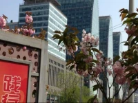 Lejia Aparthotel Beijing Xizhimen Branch 