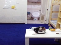 Venice International Youth Hostel 