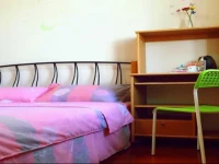 Zhuzhus Home 