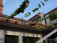 Pingyao Jingfudi Youth Inn 