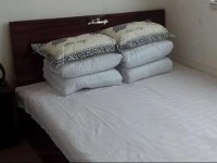 Student Travel Inn 