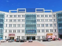 Qiqihaer Hengteng Guest House 