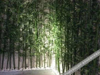 Young Tree Hotel 