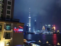 The Seagull on the Bund 