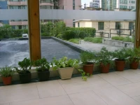 Asset Hotel Shanghai 