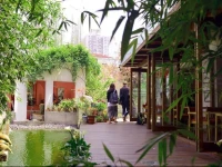 Shanghai Rock & Wood International Youth Hostel 