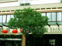 Maiju Inn (Formerly Home Hotel - Shanghai) 