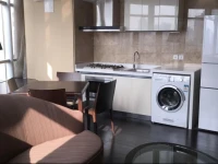Nanjing West Road highend apt 