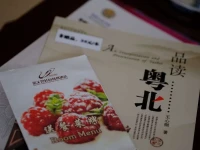 Phoenix Hotel Shaoguan 