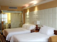 Shenzhen Luohu Railway Station Hotel - Commercial Building 