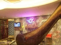 Angel Lover Theme Hotel Shenzhen Mixc 