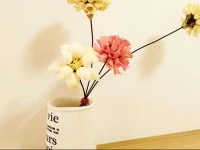 MT-HOUSE Gaoxin Garden Branch 