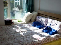 Shenzhen Panda Youth Hostel 