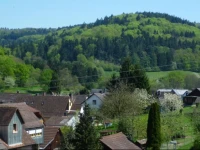 Schwarzwald Domizil Uhlsberg 