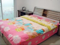 Jinshijie Apartment 