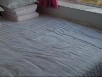 Ruyi Rural Guesthouse 