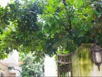 3 Xia Da Ren Hostel - Student Apartment 