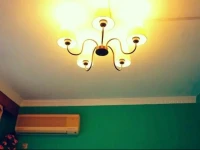Mr.cat Odour Inn 