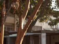Yuanzhi Villa Garden Hostel 