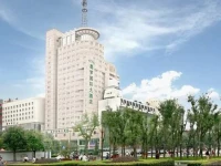 Aurum International Hotel 