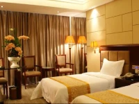Vienna Hotel Xian North High-speed Railway Station 