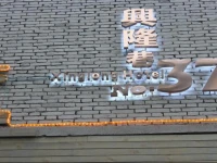 Xinglong No.37 