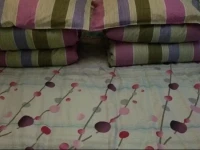 Aishe Inn Xian 