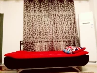 Horse Hostel 