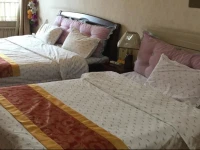 Mandy Apartment 