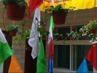 Xining 213 Youth Inn 